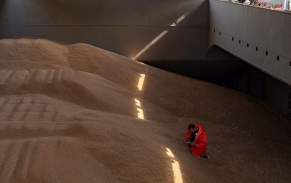 Польща пожалілися в Раду ЄС на агроімпорт з України - ЗМІ