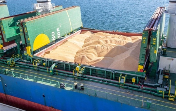 Морським коридором експортовано 100 млн тонн зерна - Кулеба