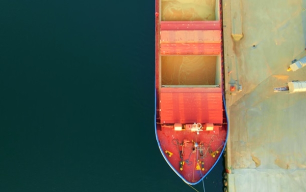 США витісняє українську кукурудзу з ринку ЄС - ЗМІ