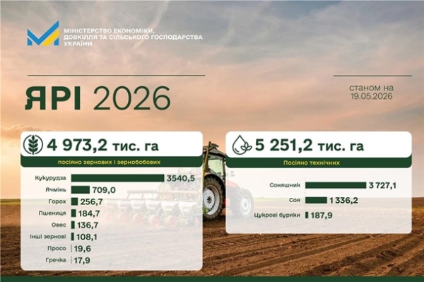 Українські аграрії засіяли 83% площ зернових
